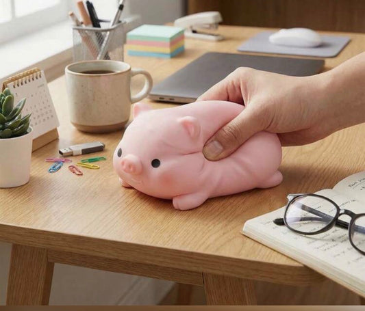 🐷 Squishy Pig 🐷