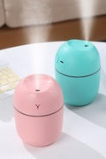 Mini Dehumidifuers