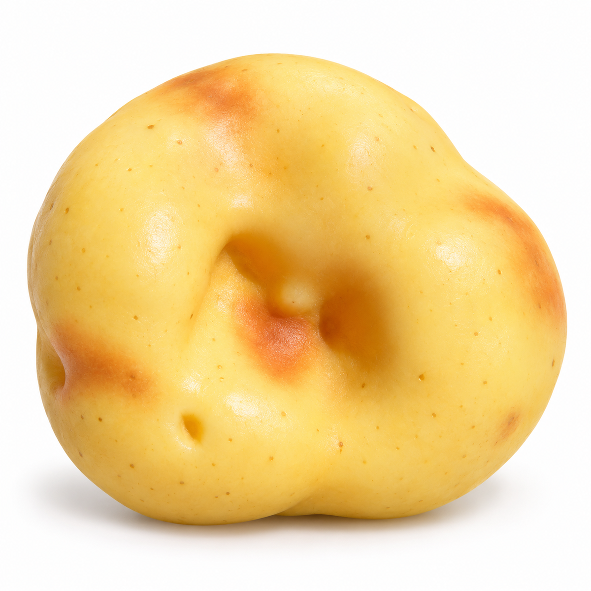 Crunchy Potato Squishy on white background